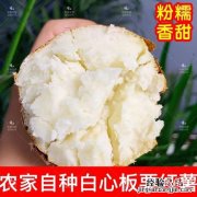 板栗变干了怎么办