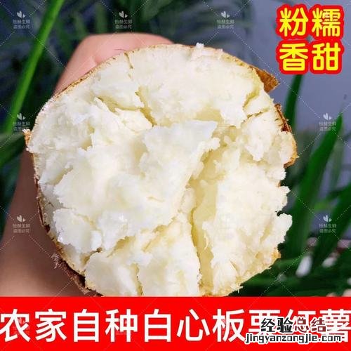 板栗变干了怎么办