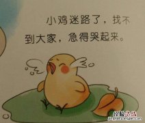 小鸡的尾巴像什么样子