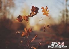 回忆往事的感慨句子