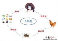蟑螂卵怎么处理