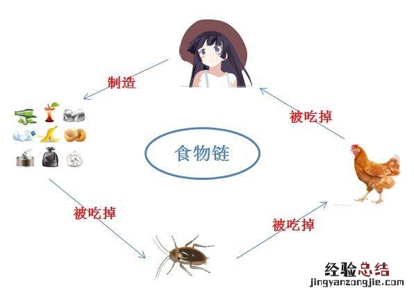 蟑螂卵怎么处理