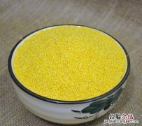 白小米和黄小米的区别