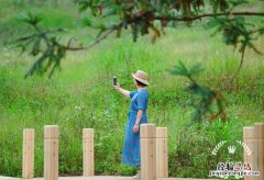 随遇而安是什么意思呢