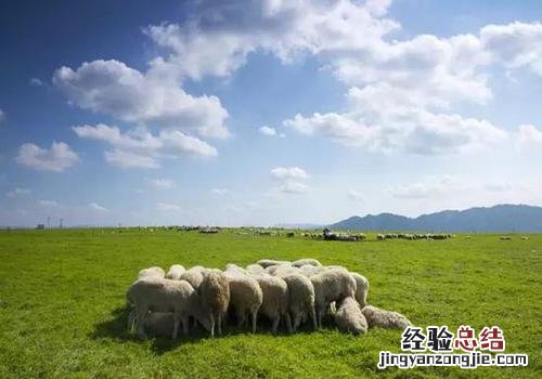 草原的由来