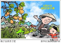梅子金黄杏子肥的下一句