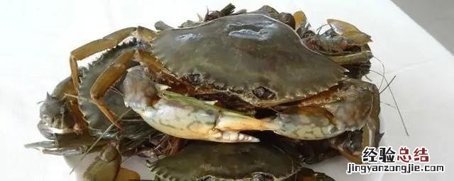 螃蟹买回来晚上死了怎么保存