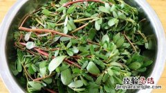 马齿笕怎么炒好吃