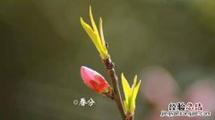 打春和立春有什么区别
