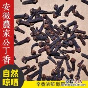 丁香在炖肉中起什么作用