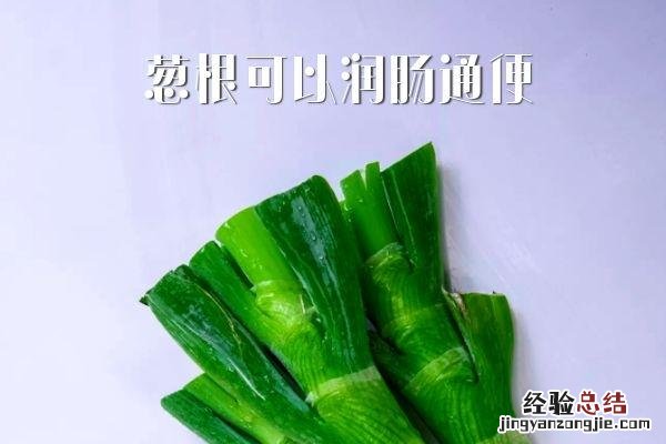 一天长一葱是多长时间
