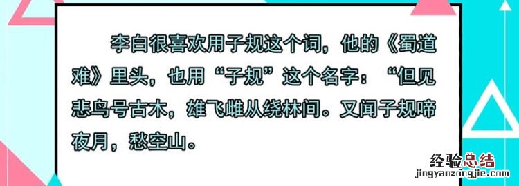 子规是什么鸟