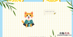 柴犬和秋田犬的区别