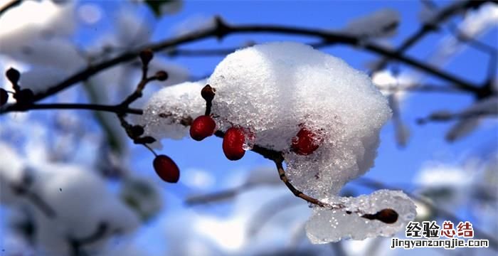 小雪节气的含义是什么