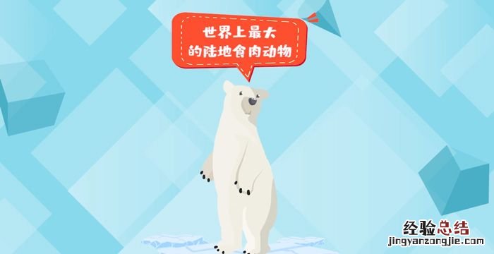 北极熊冬眠吗,公北极熊会冬眠吗?