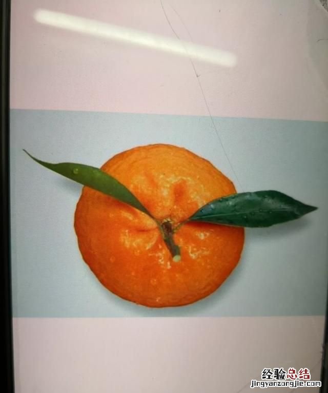 想吃橘子,市面上哪种橘子好吃呢