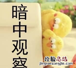 建立网站