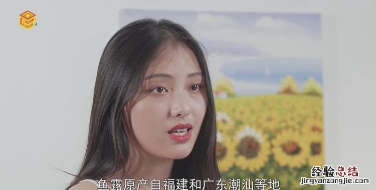 鱼露是什么,鱼露是不是有鱼腥味,而且鱼露要什么时候用比较好吃?
