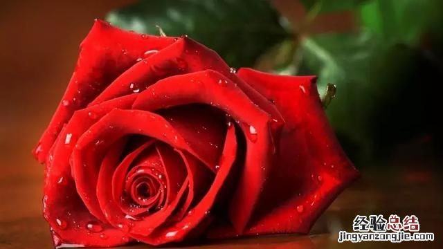 qq个性签名霸气冷酷 qq个性签名简短有深意