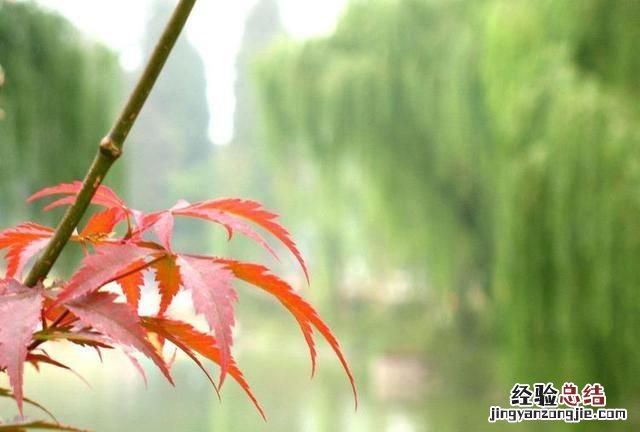 qq个性签名霸气冷酷 qq个性签名简短有深意