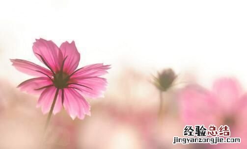 qq个性签名霸气冷酷 qq个性签名简短有深意