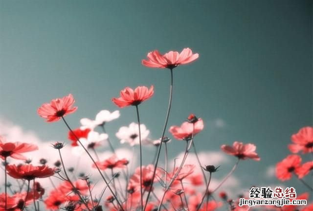 qq个性签名霸气冷酷 qq个性签名简短有深意