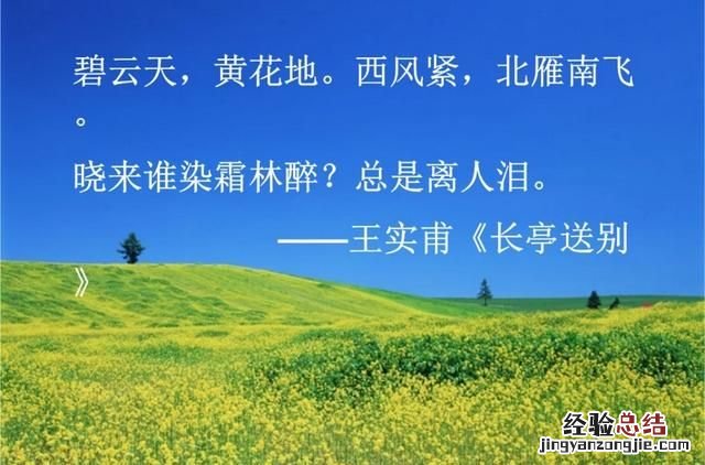 怎样区分分清怀旧和守旧的区别呢