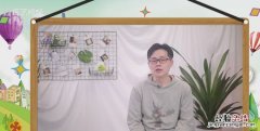 一头牛有多重