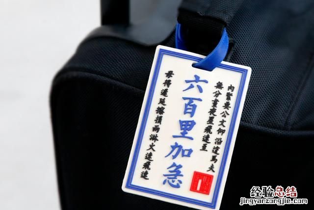 故宫的猫为什么那么火