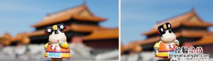 故宫的猫为什么那么火