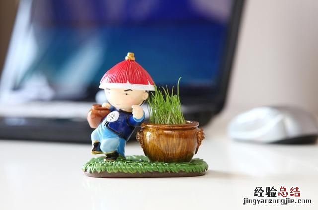 故宫的猫为什么那么火