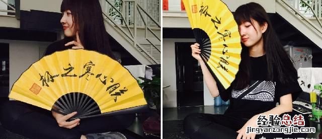 故宫的猫为什么那么火