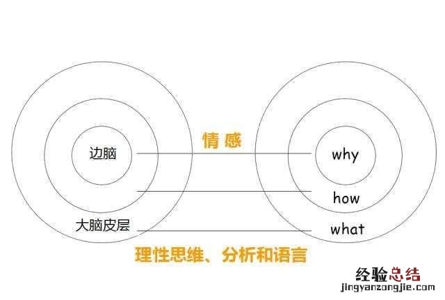 商业策划书模板，商业策划书格式模板