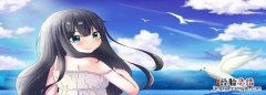 二次元是什么意思