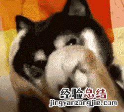 日本发明的东西有哪些
