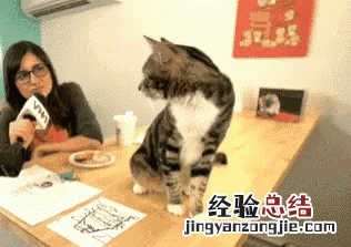 日本发明的东西有哪些