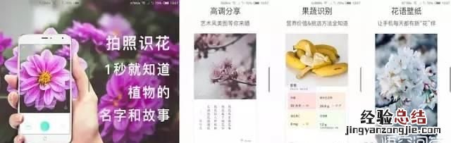 app营，有没有app推荐