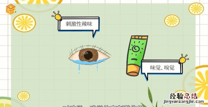 芥末是什么做的，芥末是什么材料做成的？