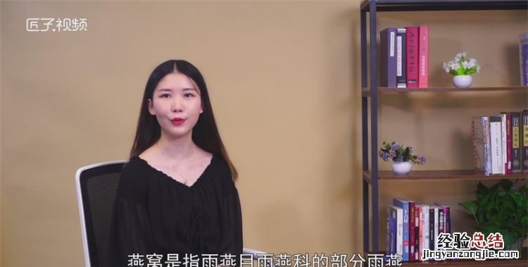 燕窝是什么，一盅燕窝是什么？