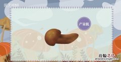 松茸的保存
