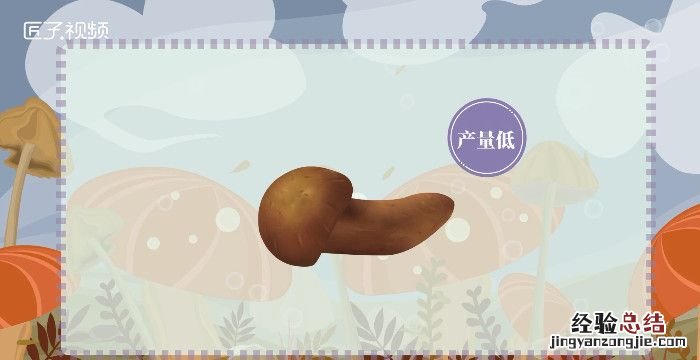 松茸的保存