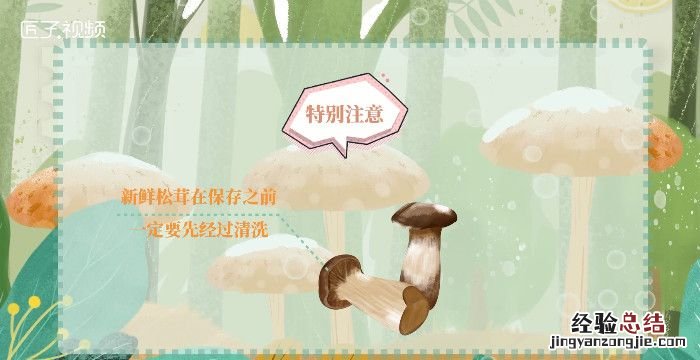 松茸的保存