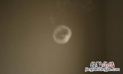怎样吐出烟圈