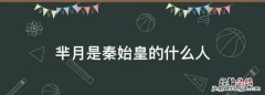 芈月是秦始皇的什么人，芈月是秦始皇的什么？