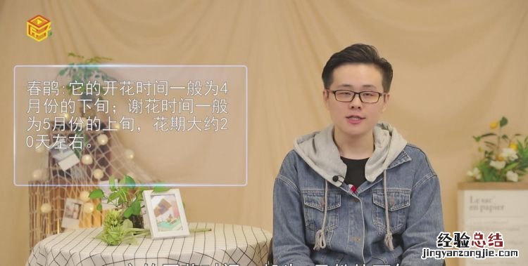 杜鹃花什么时候开,杜鹃花一年开几次什么时间开?