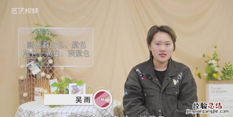 丁香花什么颜色，丁香花是什么颜色的最佳答案？