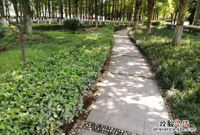 如何快速掌握毕业论文选题方法,毕业论文选题怎么选比较好写的