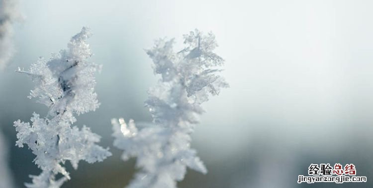 雪花的形状,雪花是怎么形成的?为什么一朵雪花的形状是独一无二的?