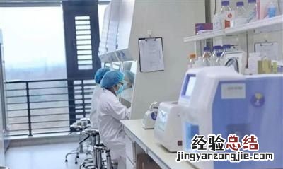 定性分析与定量分析