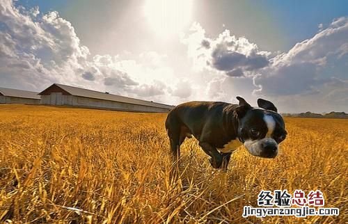用什么软件拍可以防抖动 拍不用防抖动的可以吗